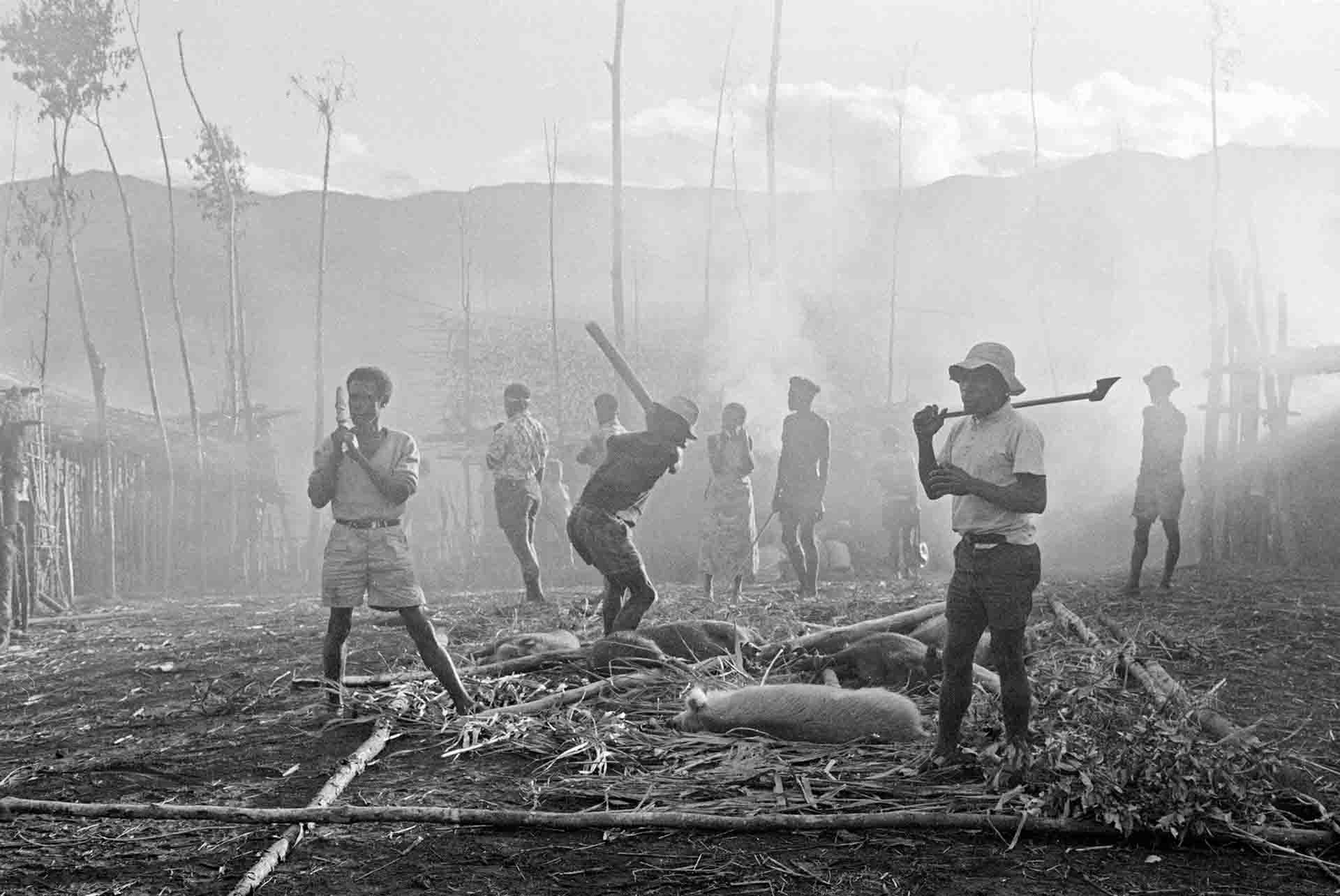 A Tauade Pig Killing - On The Wilder Shores Of Life