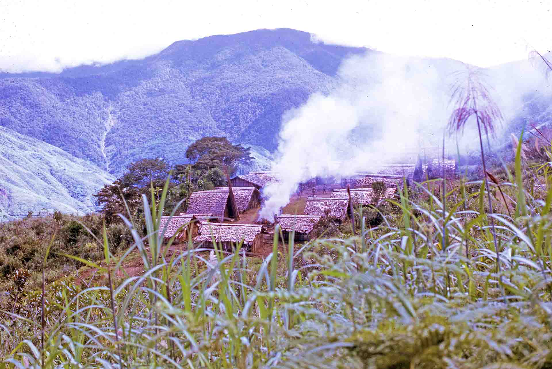 A Tauade Hamlet - On The Wilder Shores Of Life