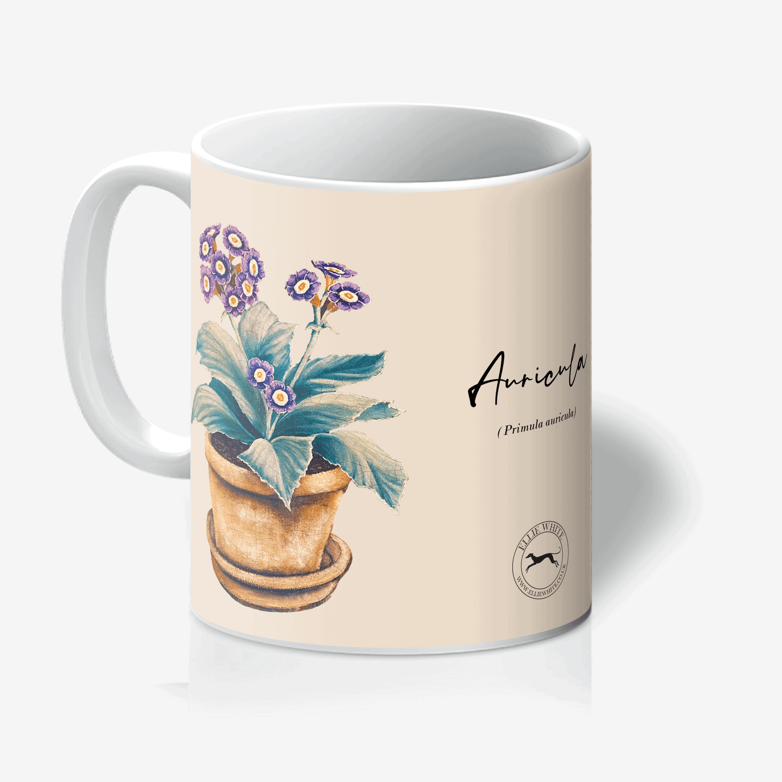 Violet Auricula Mugs - Ceramic Auricula Mug