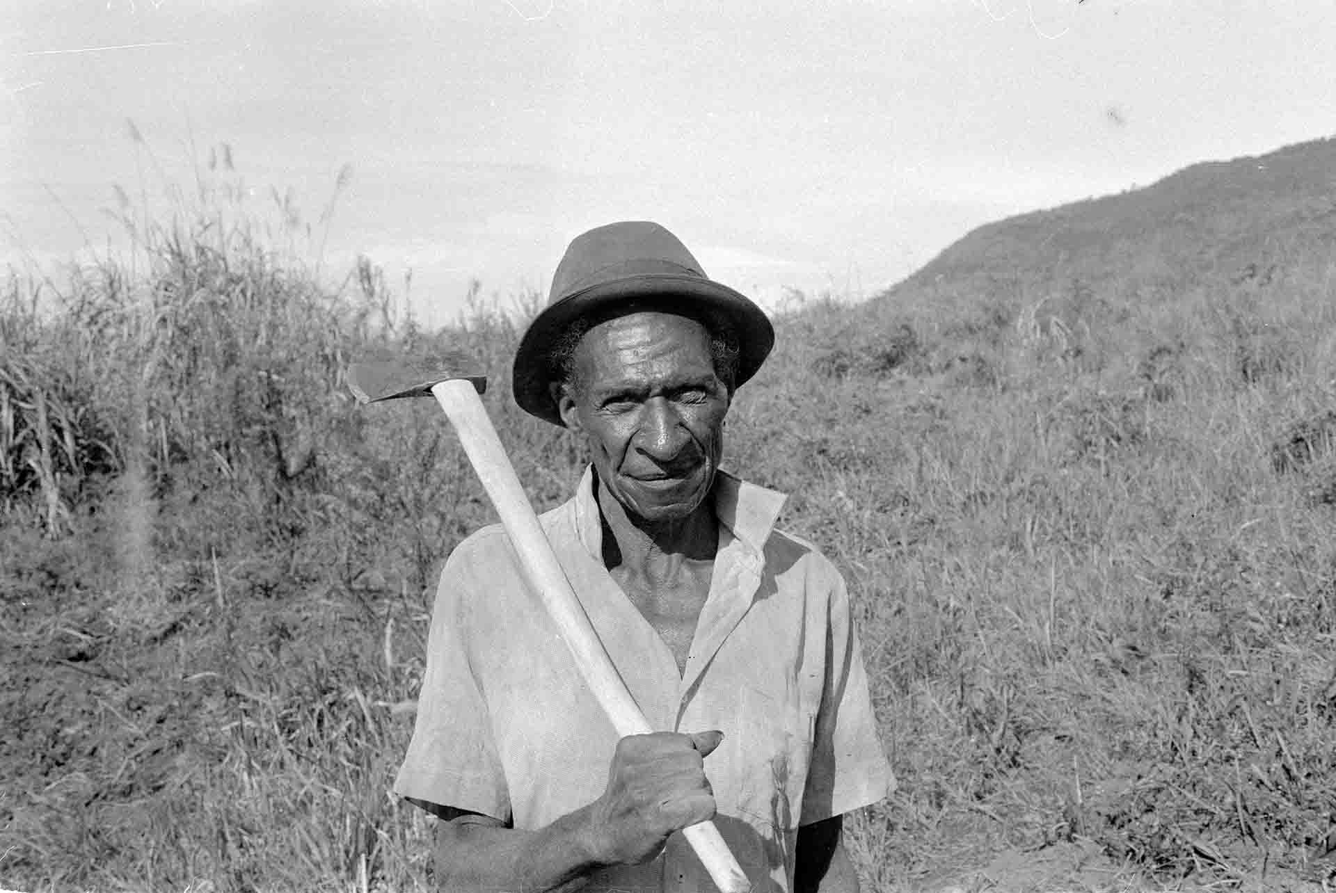 Avui Apava - On The Wilder Shores Of Life