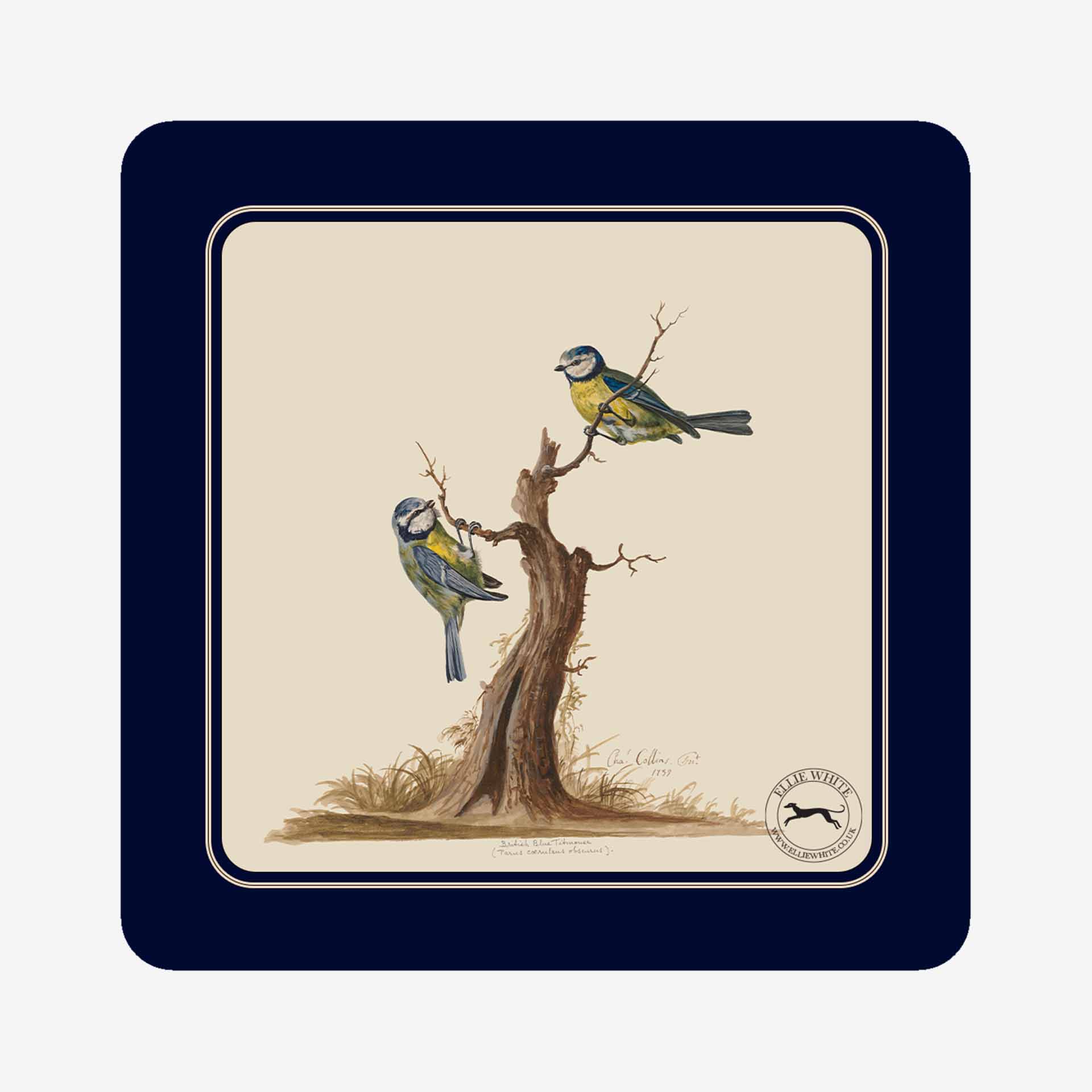 Blue Tit Coaster