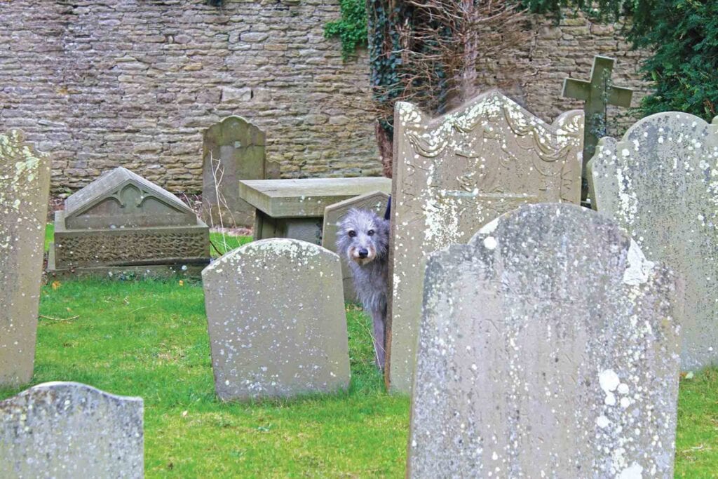 Churching And Lurching