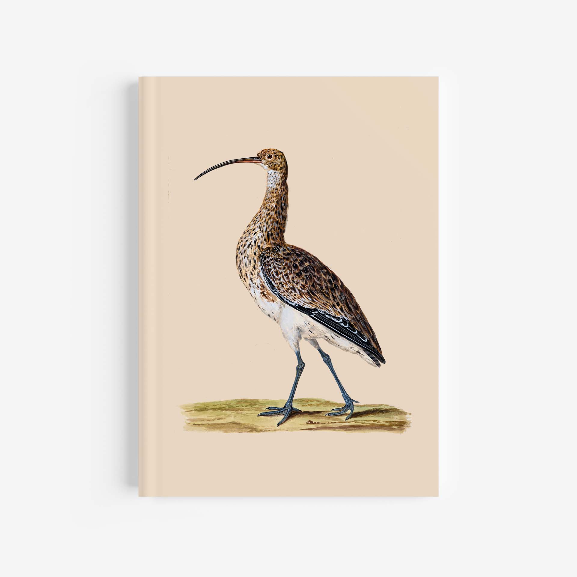 Curlew Journal / Notebook – A4