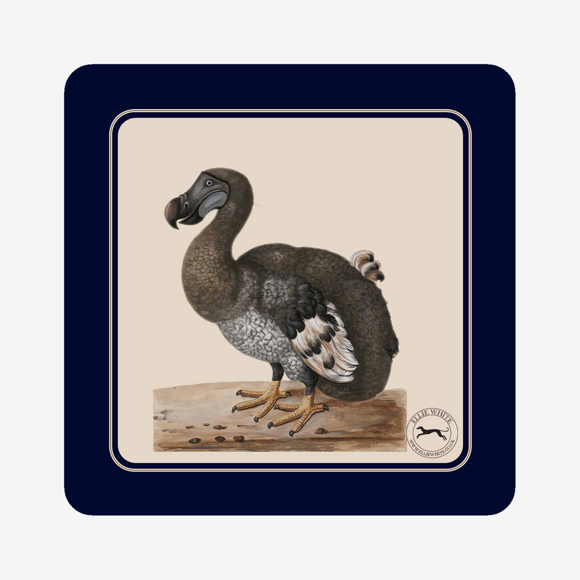 Dodo Coaster