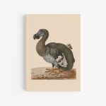 Dodo Journal / Notebook