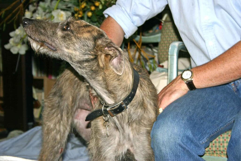Ellie&Amp;#039;S First Hours After Arrival At Her New Home In Gloucestershire