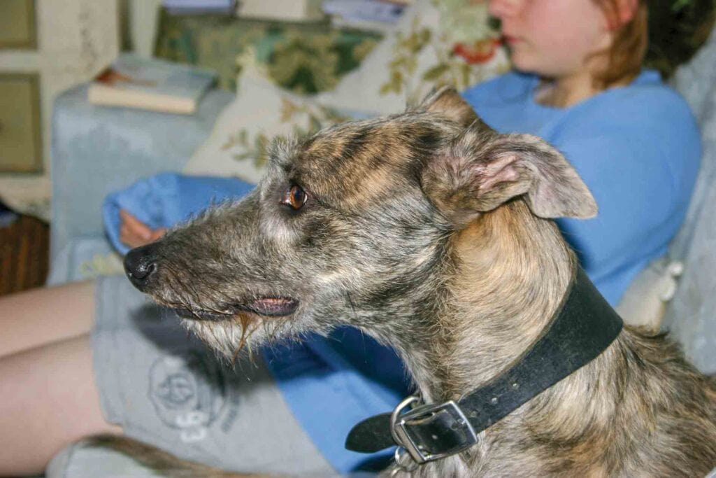 First Night In Gloucestershire