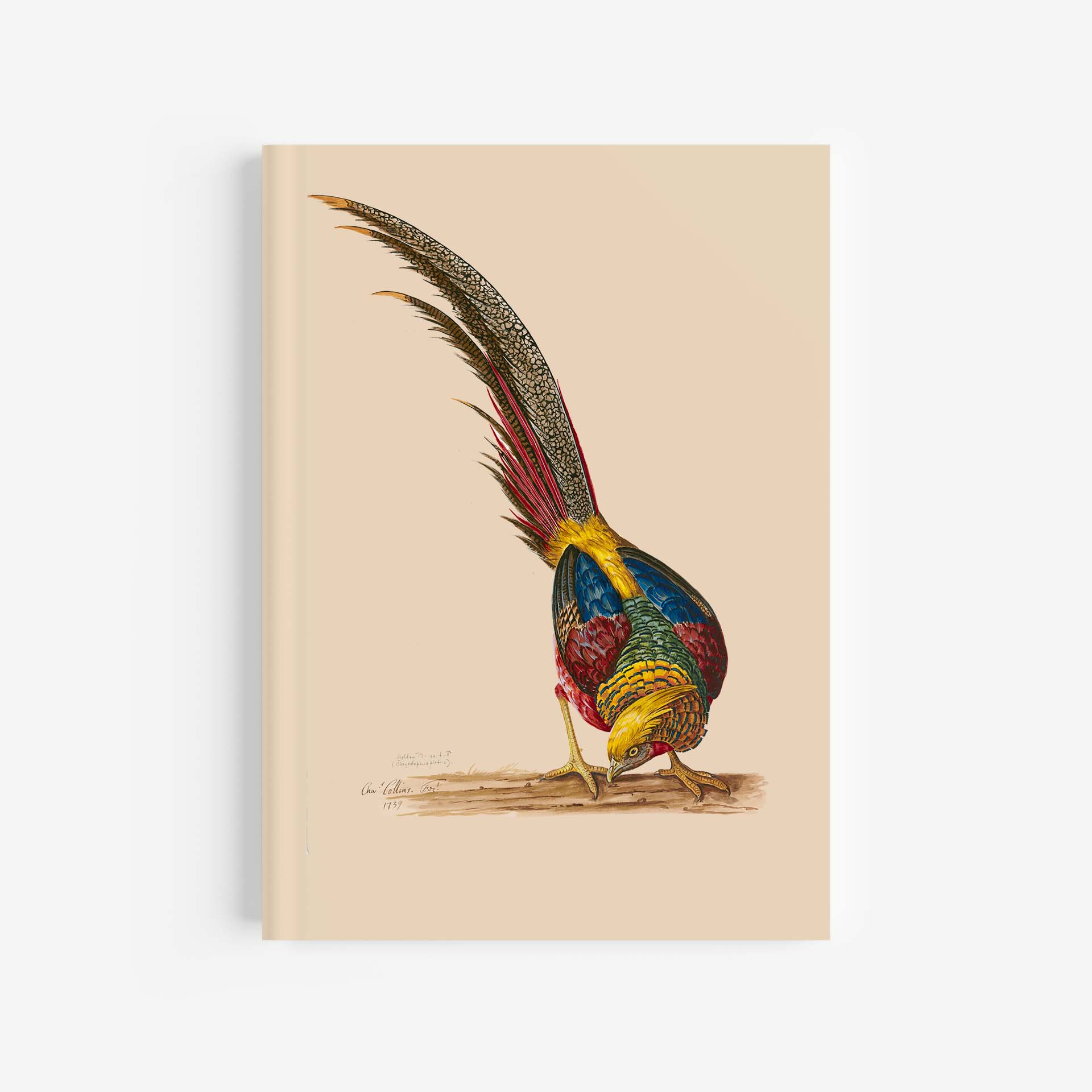 Golden Pheasant Journal / Notebook – A4