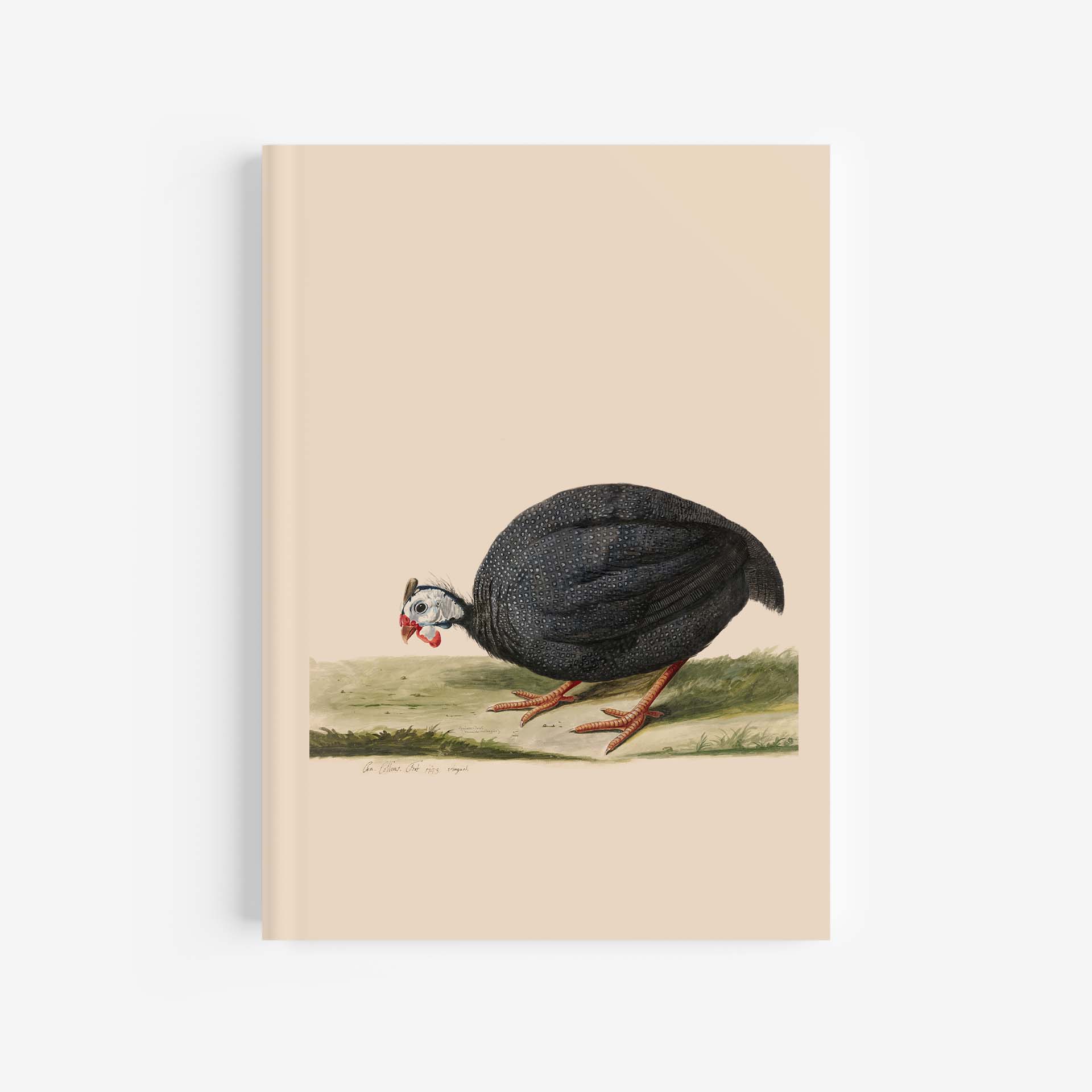 Guinea Fowl Journal / Notebook – A4