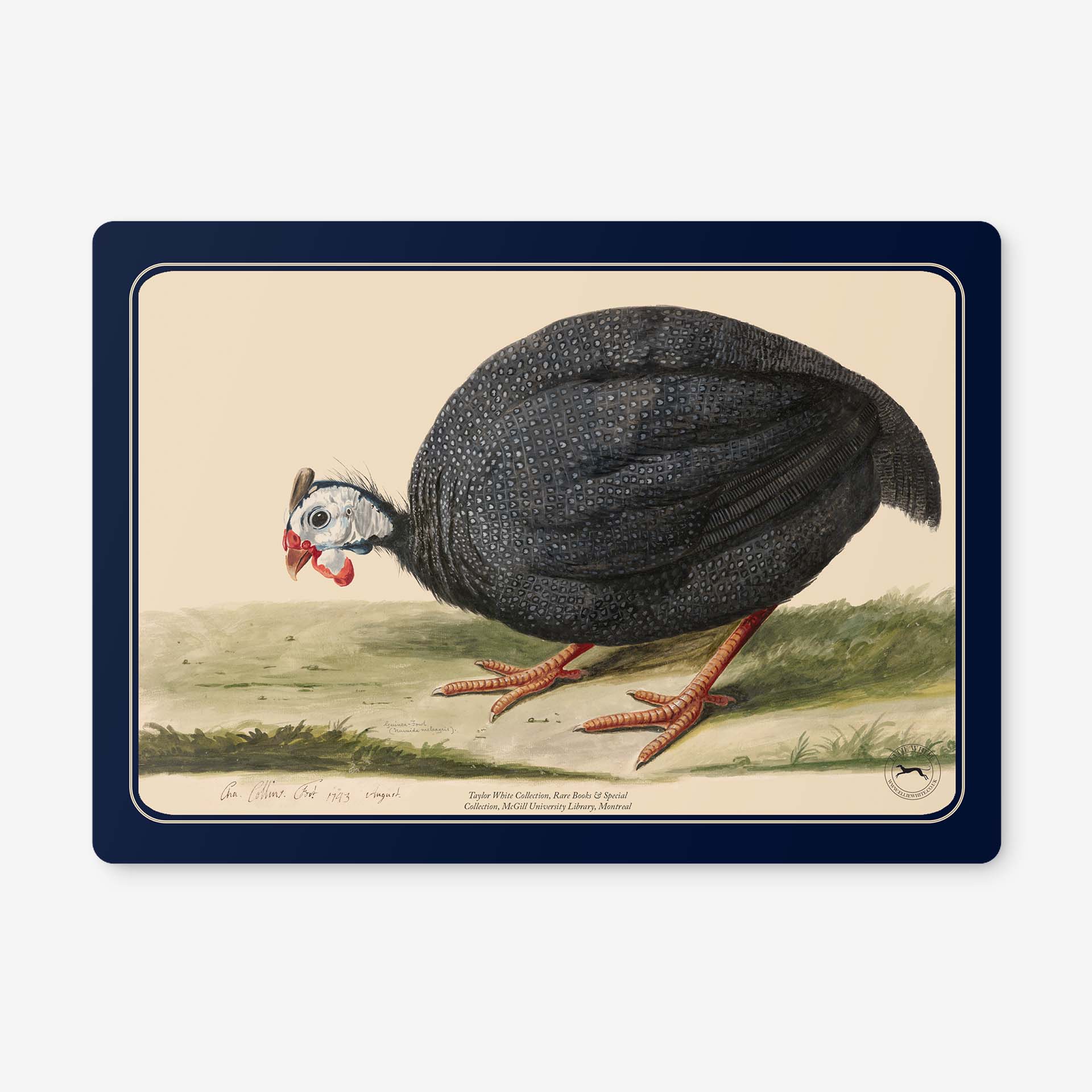 Guinea Fowl Placemats