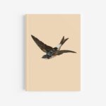 House Martin Journal / Notebook