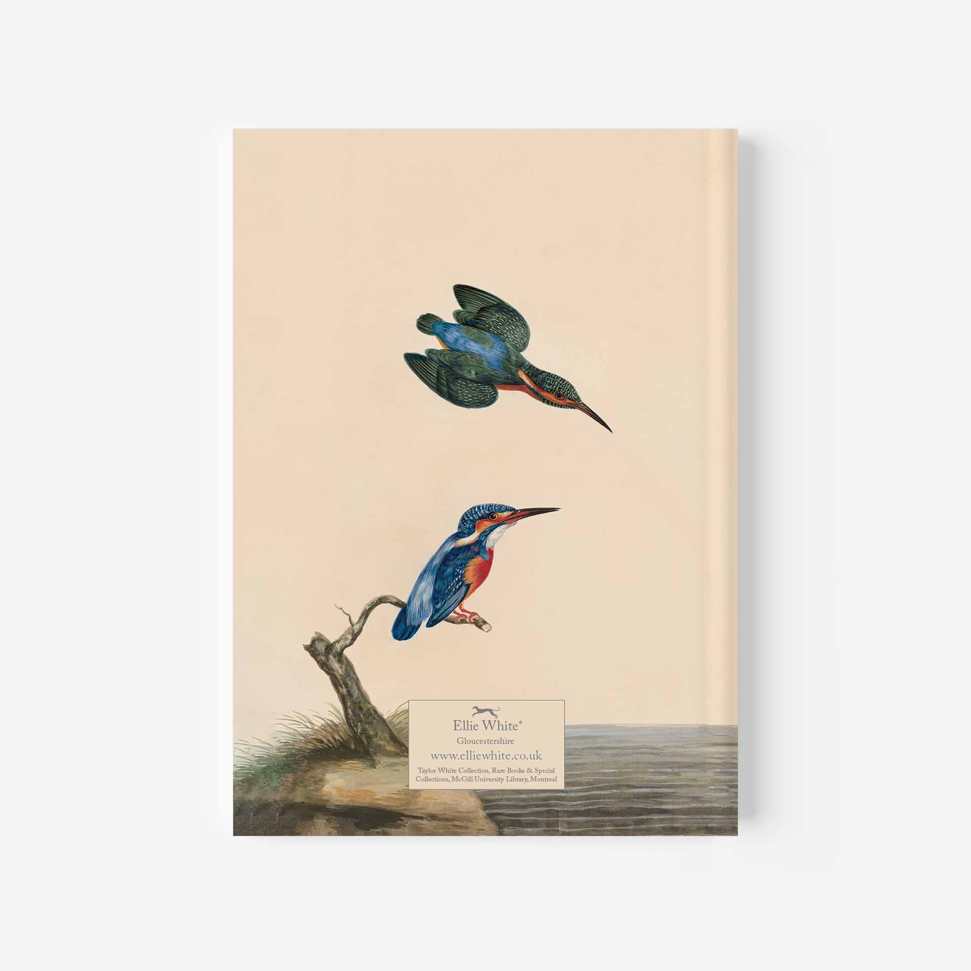 Kingfishers Journal Rear Cover - 5&Quot; X 7&Quot;