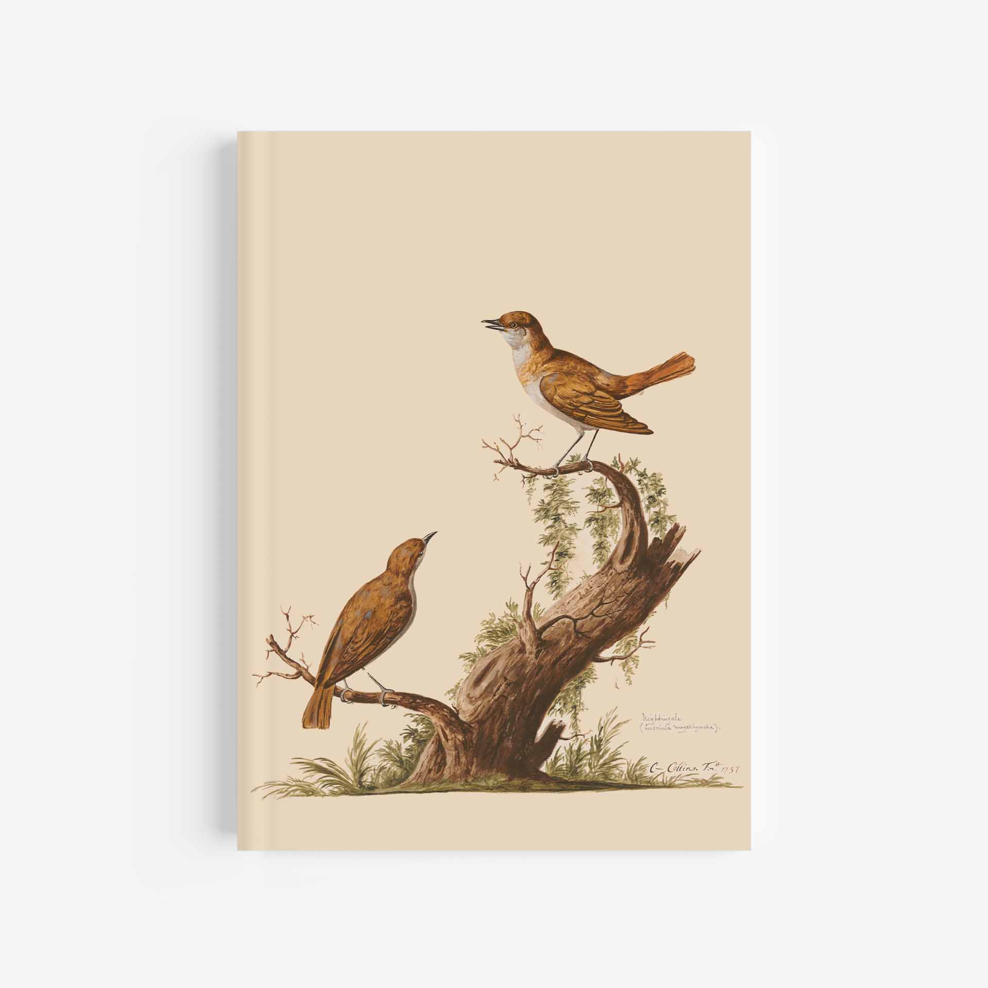 Nightingale Journal / Notebook – 5In X 7In