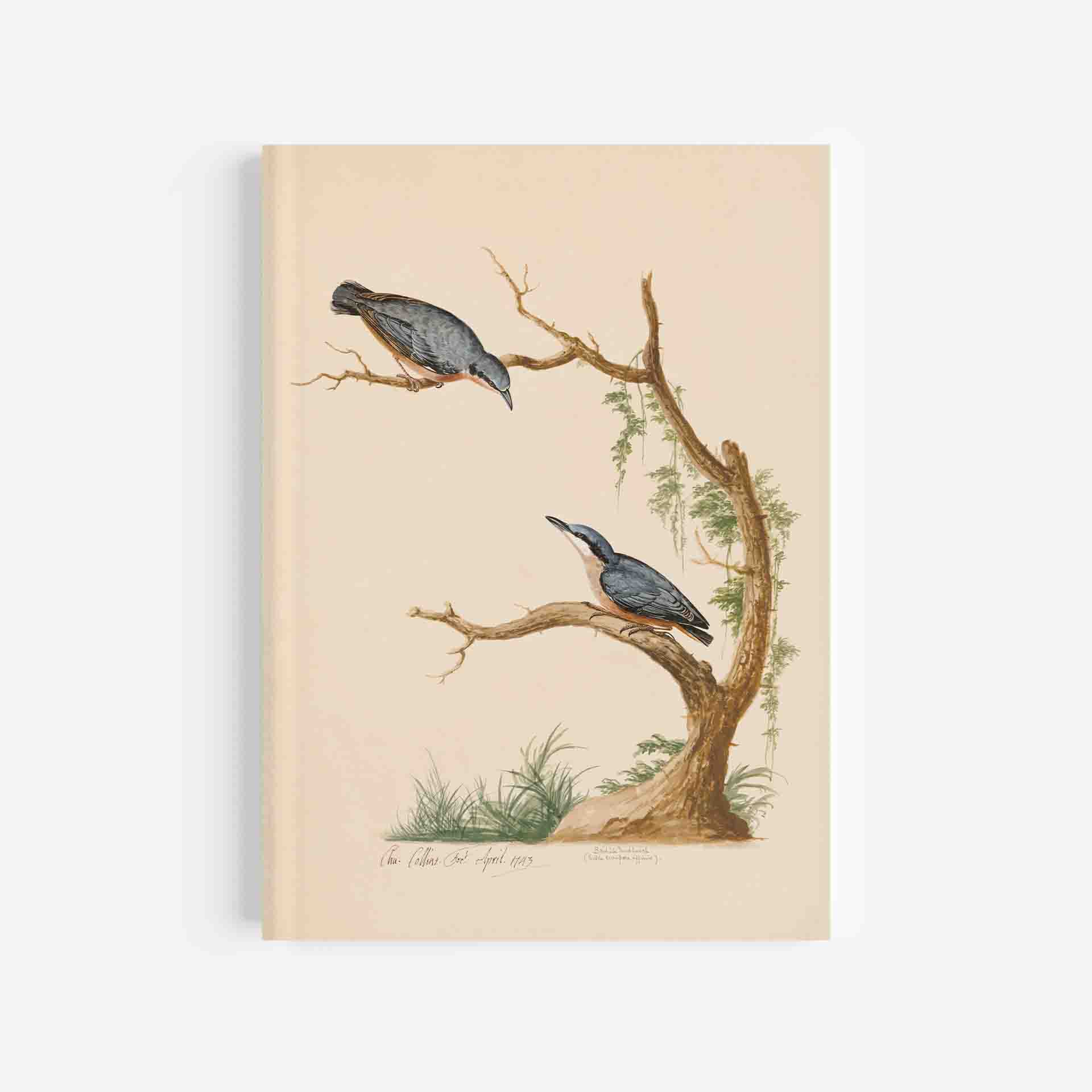 Nuthatch Journal / Notebook – 5In X 7In