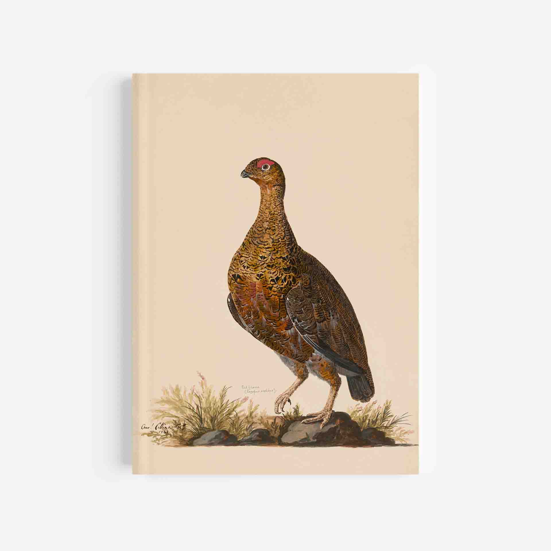 Red Grouse Journal / Notebook – 5In X 7In
