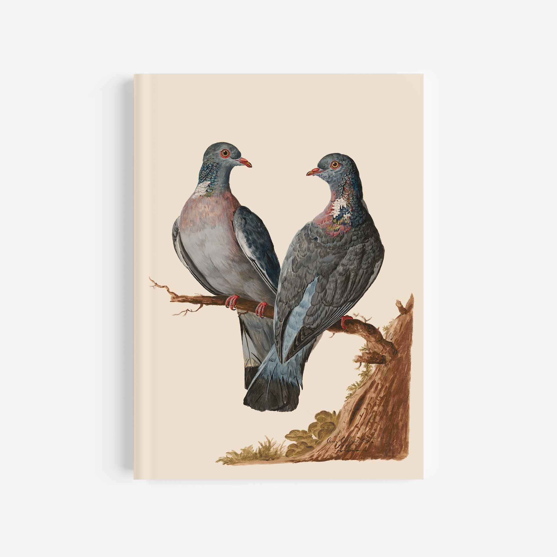 Wood Pigeon Journal / Notebook – 5In X 7In