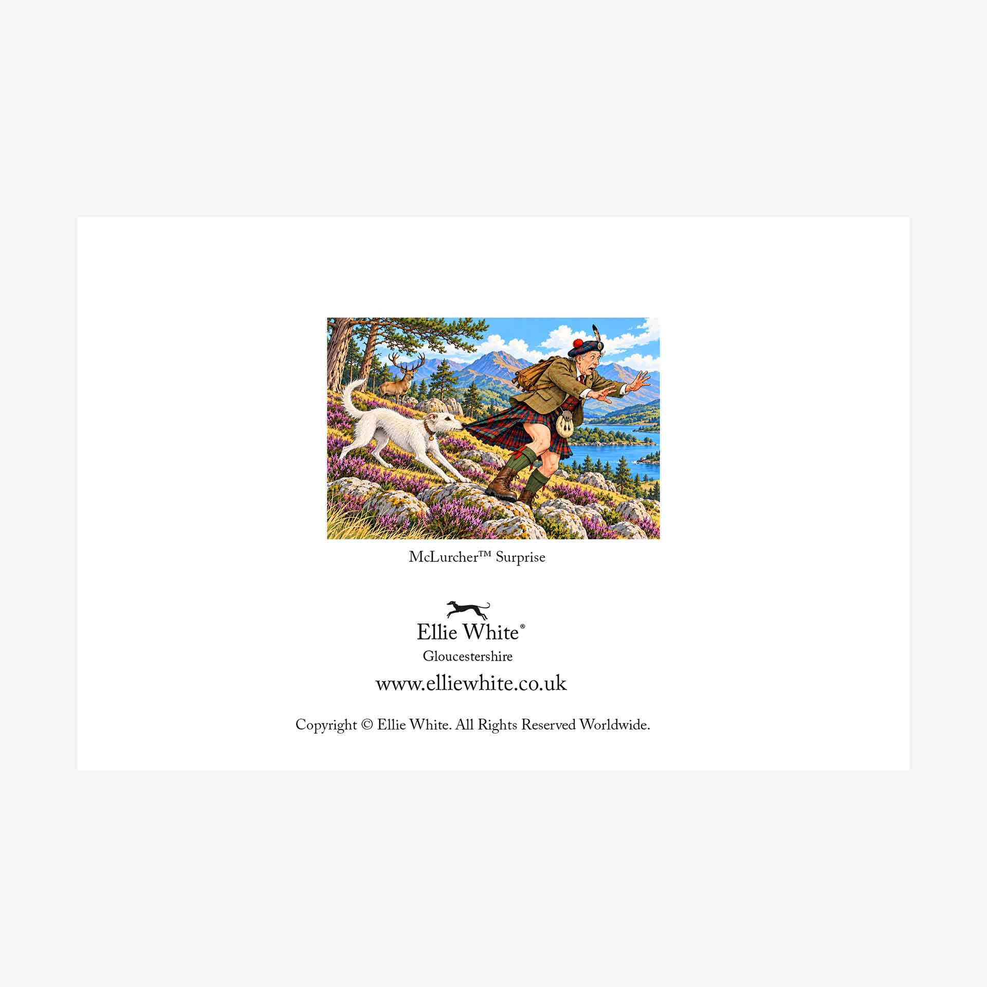 McLurcher™ Surprise Greetings Cards Rear Cover | Packs of 10, 20 or 50 on Mohawk fine art card