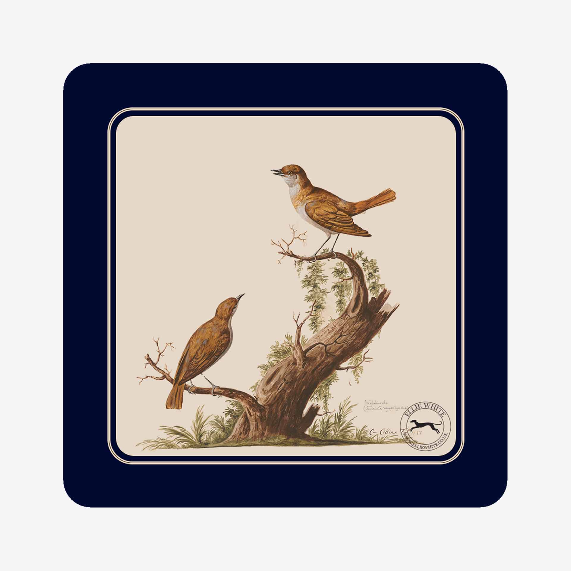 Nightingale Coaster