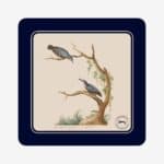 Nuthatch Coaster