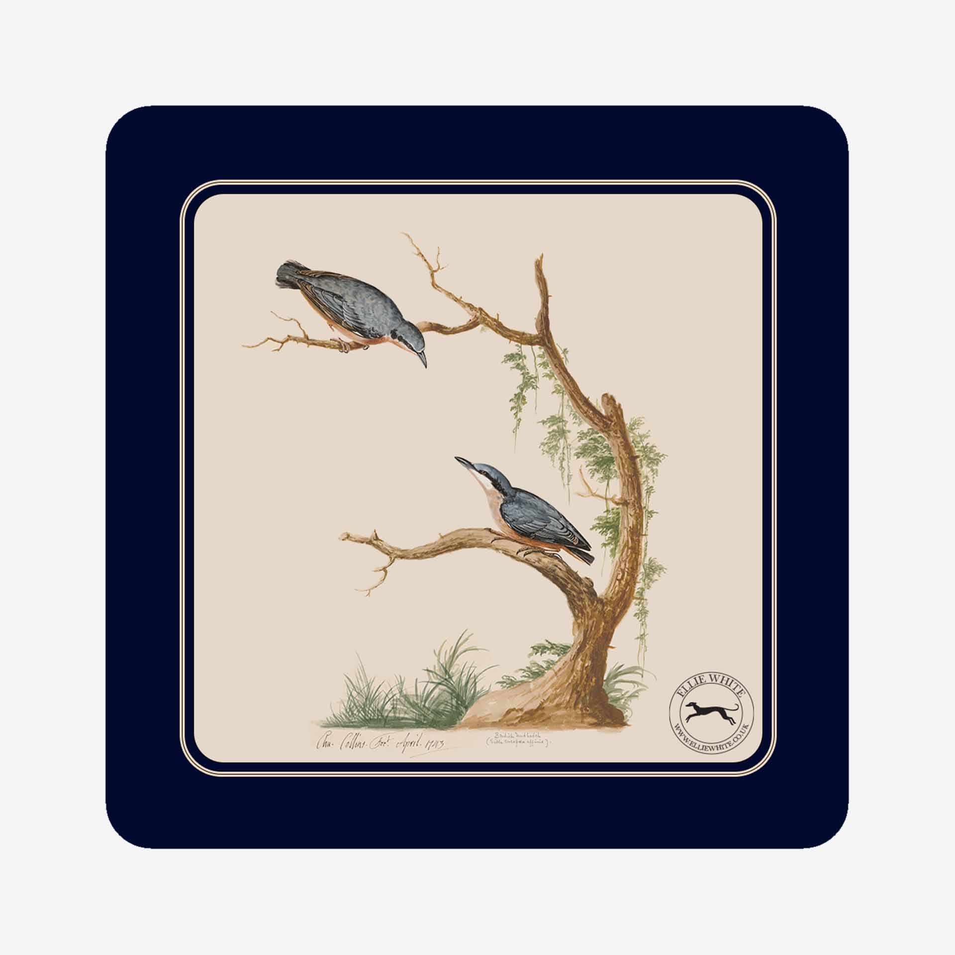 Nuthatch Coaster