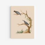 Nuthatch Journal / Notebook