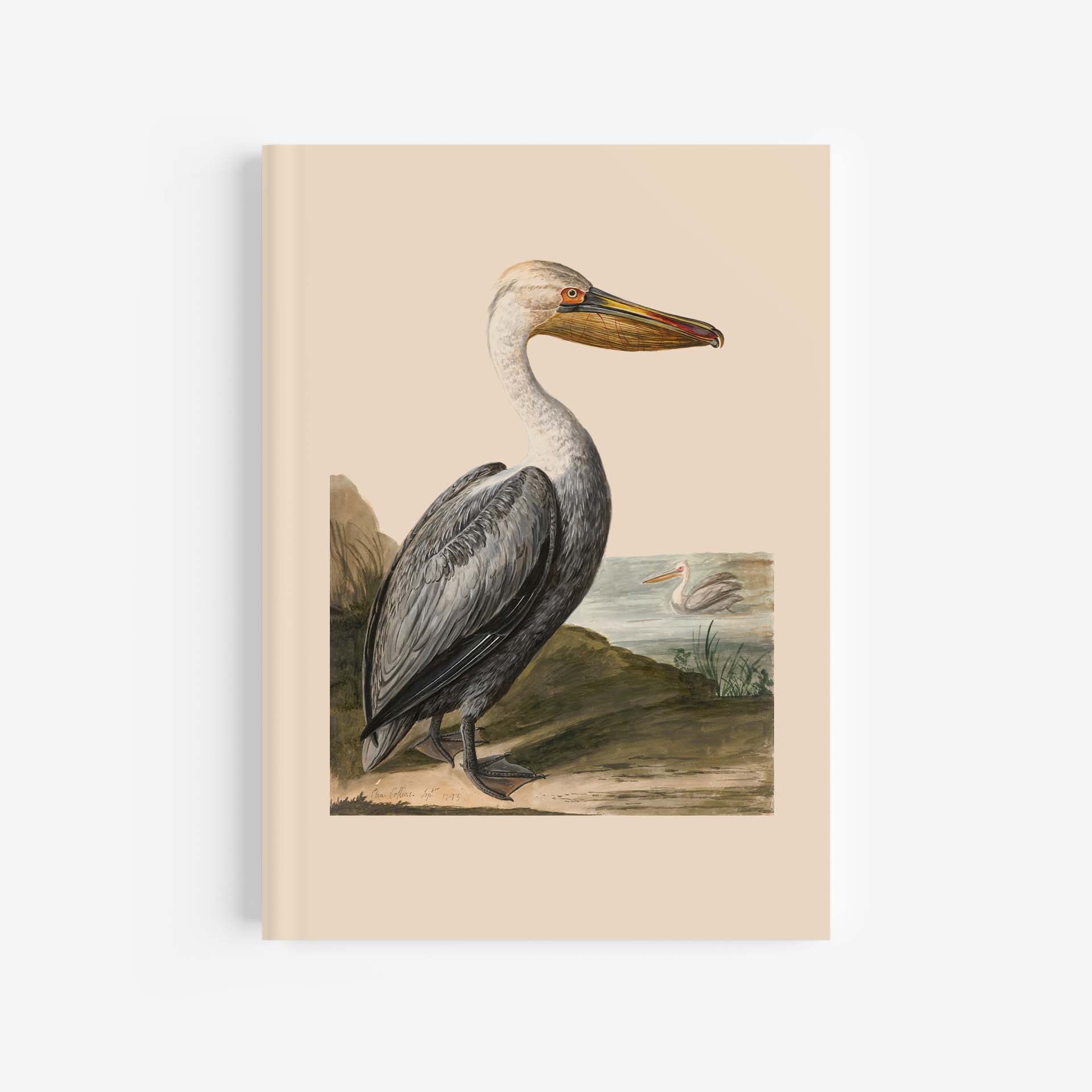 Pelican Journal / Notebook – A4