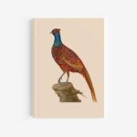 Pheasant Journal / Notebook