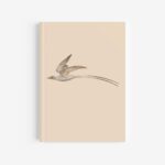 Red-Billed Tropicbird Journal / Notebook