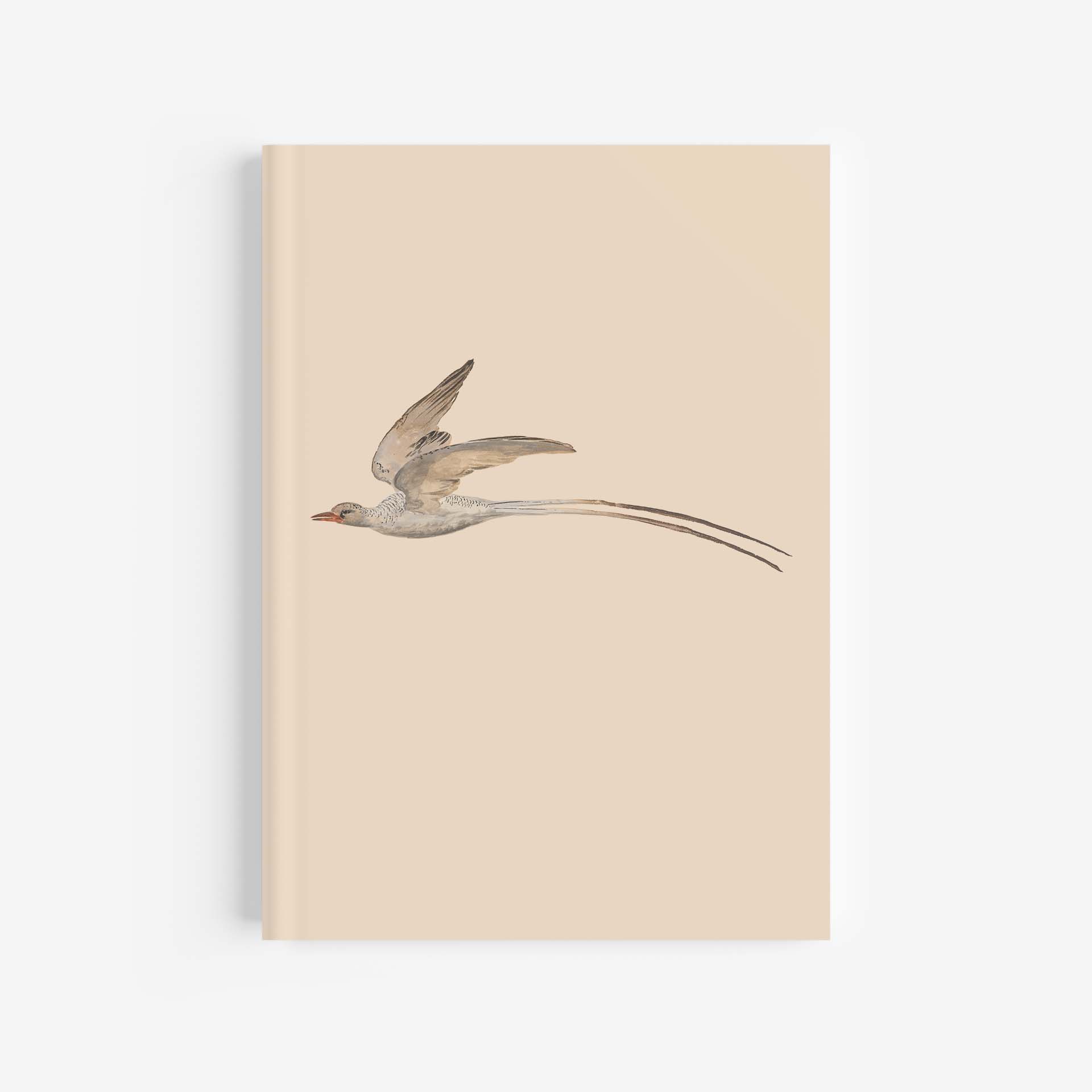 Red-Billed Tropicbird Journal / Notebook – A4