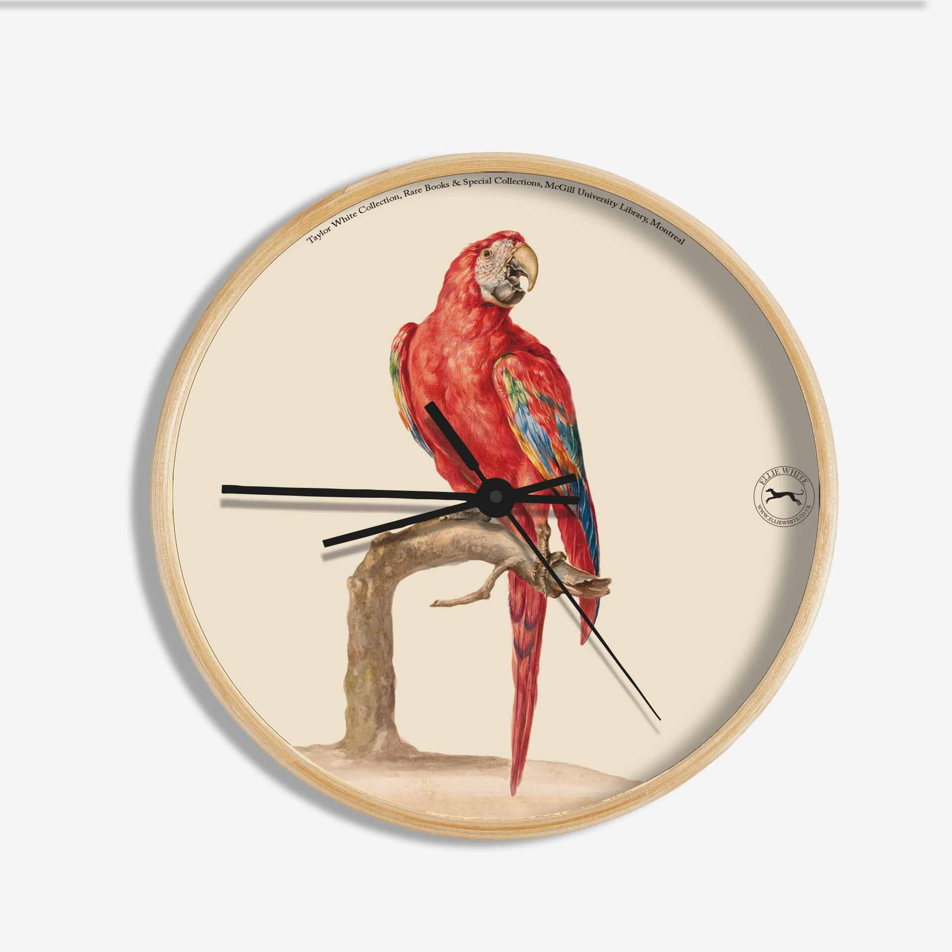 Red & Blue Macaw Wall Clock