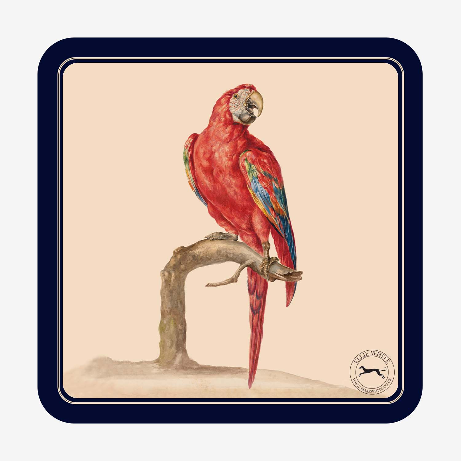 Red & Blue Macaw Coaster