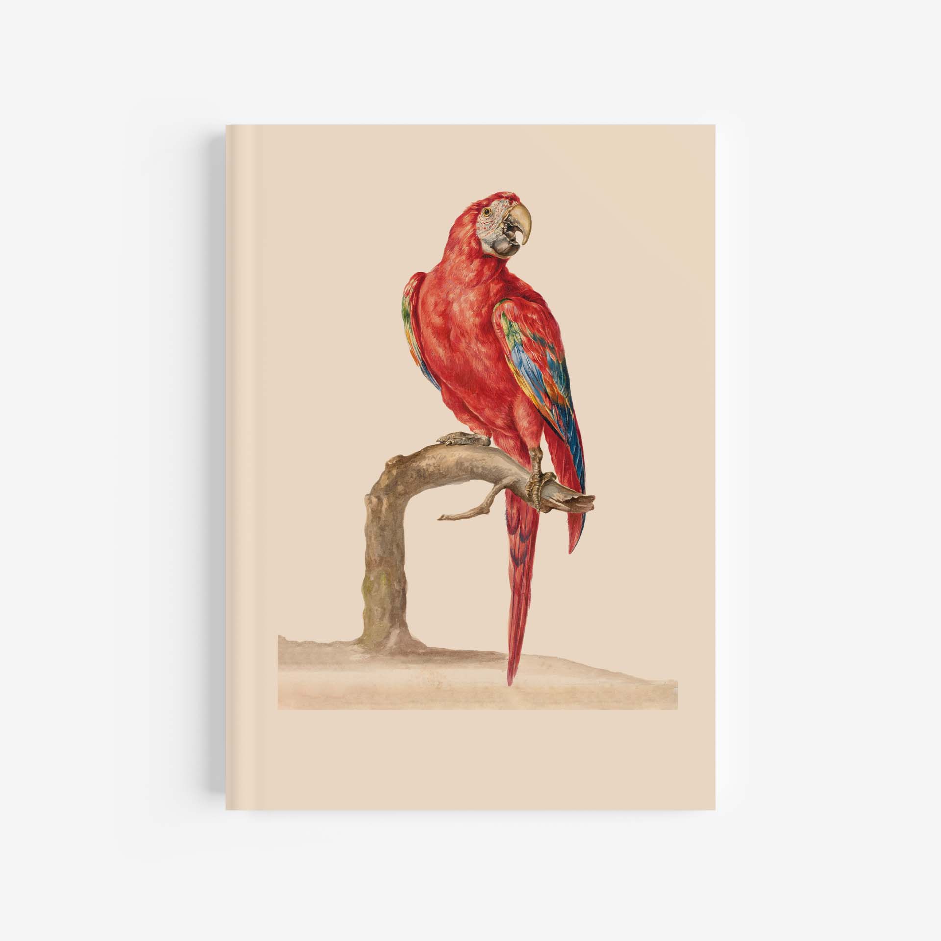 Red & Blue Macaw Journal / Notebook – A4