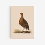 Red Grouse Journal / Notebook