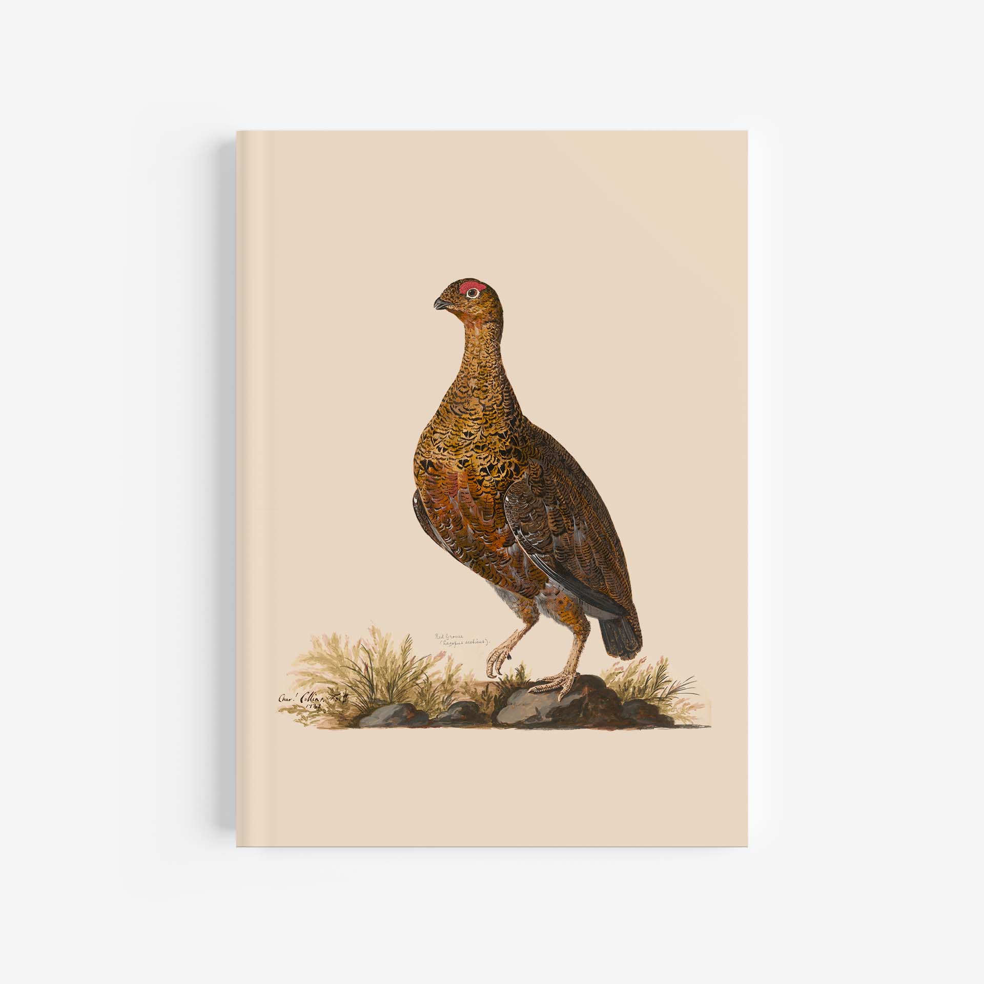Red Grouse Journal / Notebook – A4