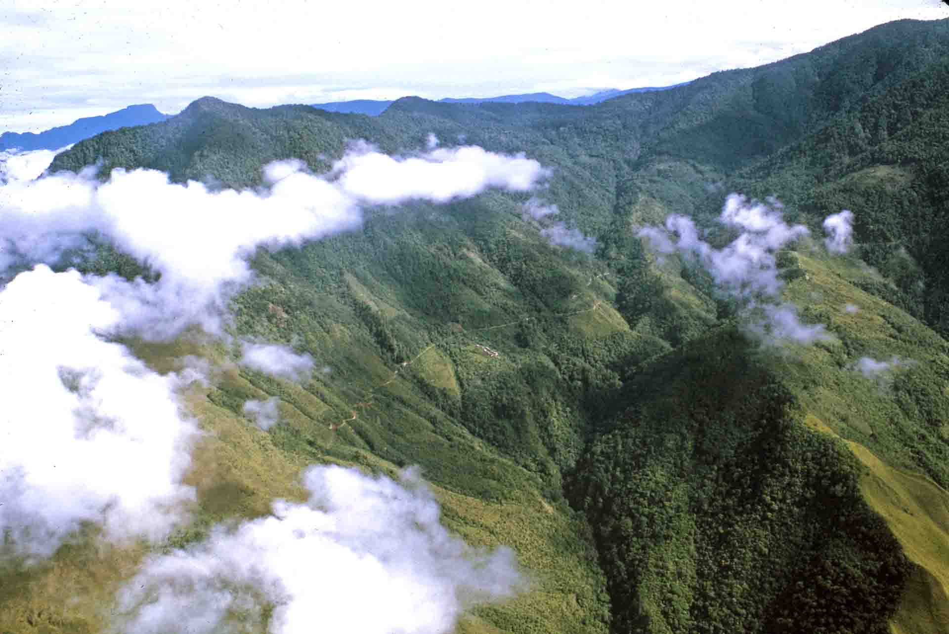 The Track To Kerau - On The Wilder Shores Of Life