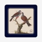 Turtle Dove Coaster