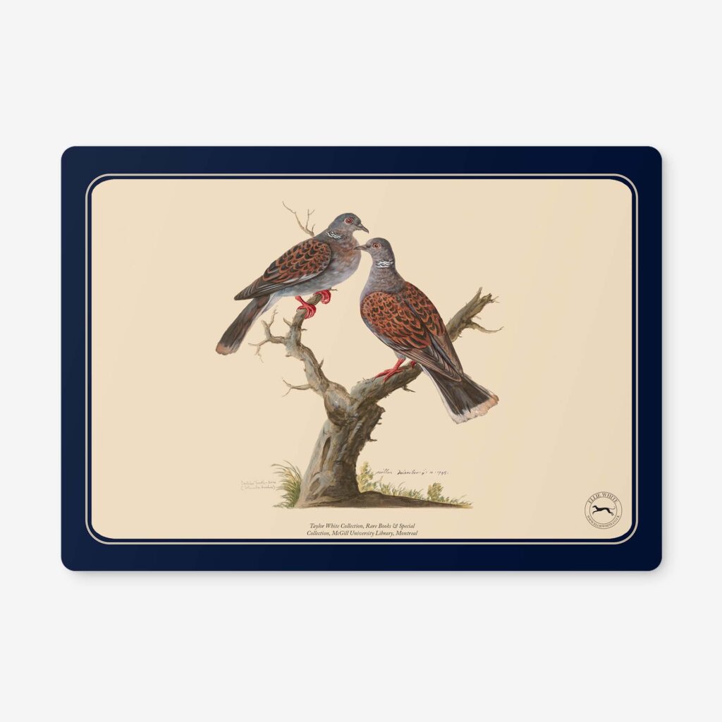 Turtle Dove Placemats Turtle Dove Table Mats