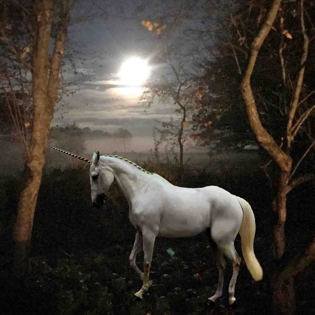 How The Unicorn Found His Horn | Unicorn Story | Ellie White