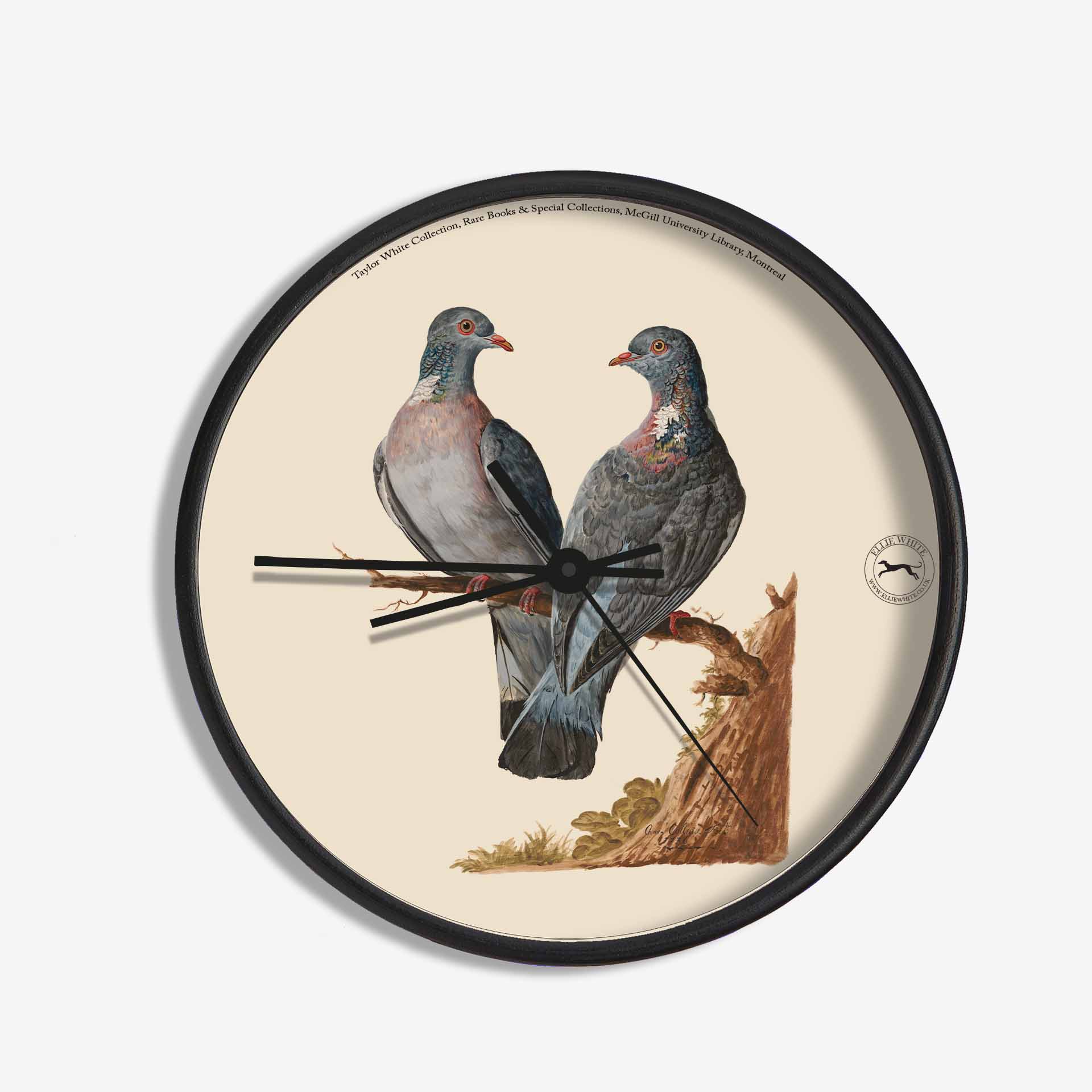 Wood Pigeon Wall Clock 10in X 10in Round Ellie White