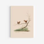 Wren Journal / Notebook