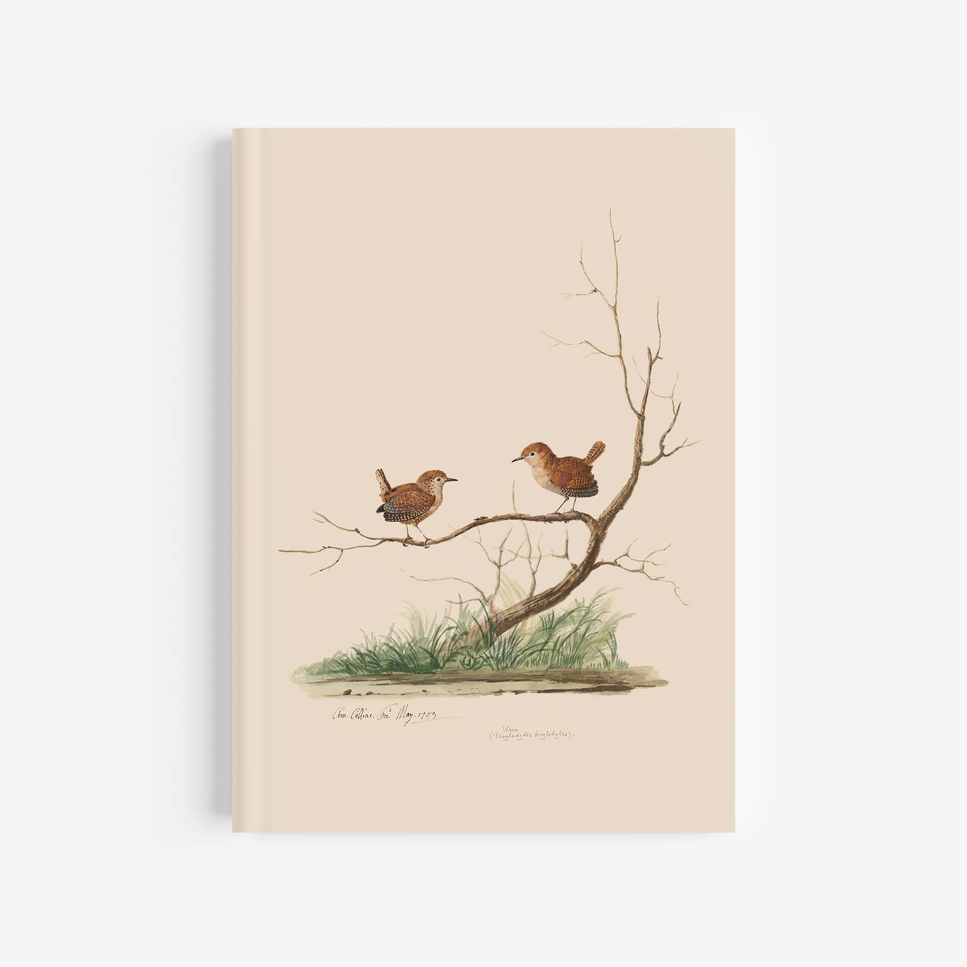 Wren Journal / Notebook – A4