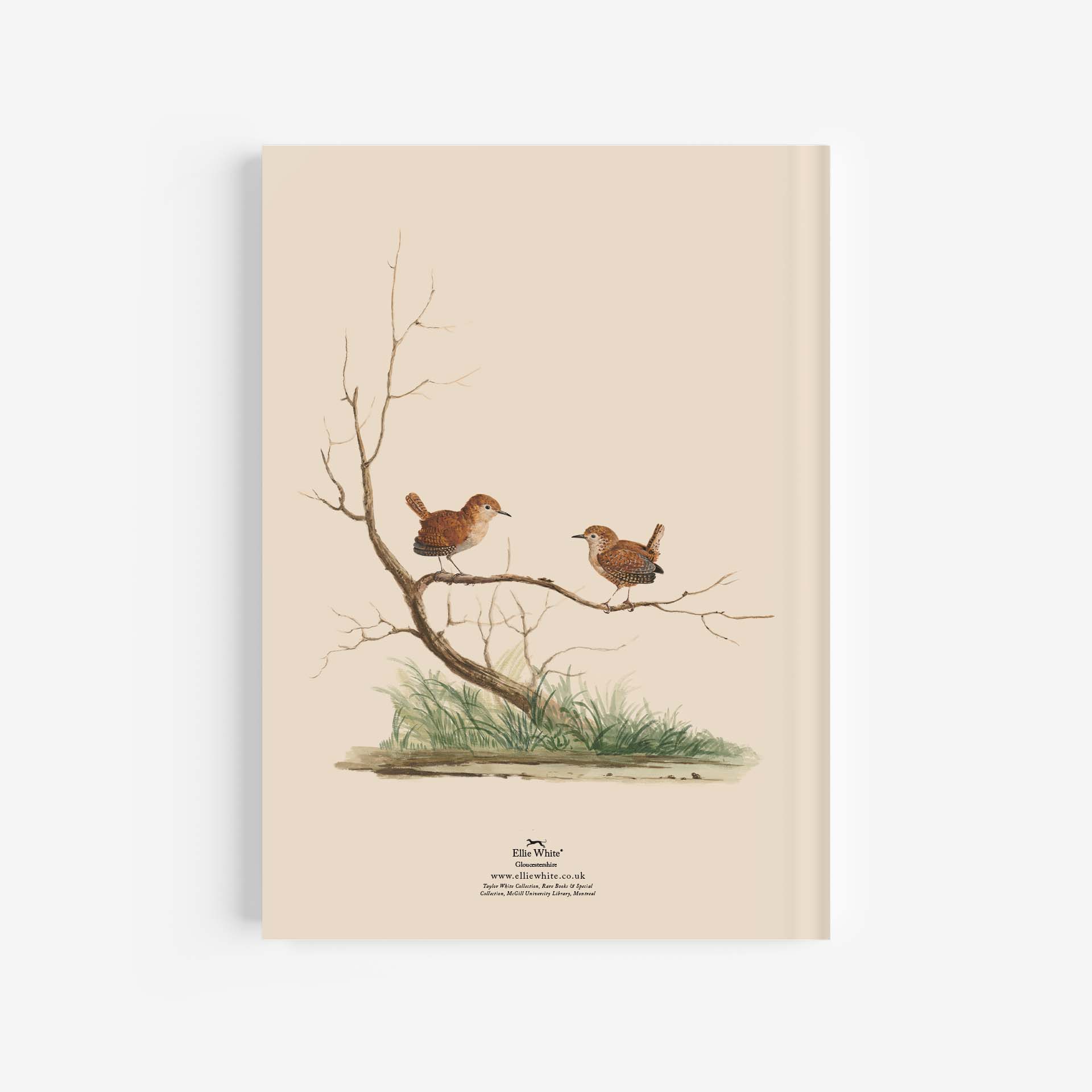 Wren A4 Journal / Notebook Rear Cover